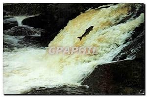 Image du vendeur pour Carte Postale Ancienne Une ouananiche Sautant les Chutes de la Riviere aux Saumons mis en vente par CPAPHIL