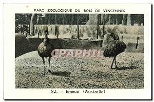 Bild des Verkufers fr Image Parc zoologique du bois de vincennes emeux australie Australie zum Verkauf von CPAPHIL