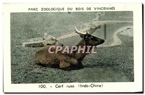 Bild des Verkufers fr Image Parc zoologique de bois du vincennes cerf ruso indo chine zum Verkauf von CPAPHIL