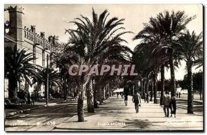 Seller image for Carte Postale Ancienne Paseo Sagrera Mallorca for sale by CPAPHIL