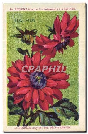 Bild des Verkufers fr Chromo Bledine Dahlia zum Verkauf von CPAPHIL
