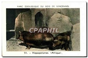 Image du vendeur pour Image Parc zoologique du bois de vincennes Zoo Hippopotames mis en vente par CPAPHIL