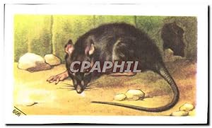 Seller image for Image Entremets Francorusse Rat Noir for sale by CPAPHIL