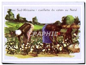 Bild des Verkufers fr Image Union Sud Africaine cueillette du coton au Natal zum Verkauf von CPAPHIL