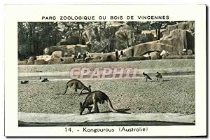 Bild des Verkufers fr Image Parc zoologique du bois de vincennes kangourous australie zum Verkauf von CPAPHIL