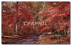 Seller image for Carte Postale Ancienne Mohawk Trail Mass for sale by CPAPHIL