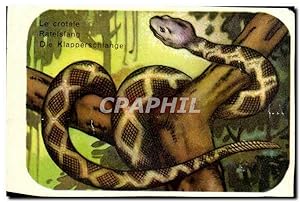 Seller image for Image Le Crotale Tatelslang Die Klapperschiange Snake Serpent for sale by CPAPHIL