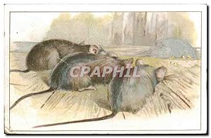 Seller image for Image Chocolat Saintoin Souris Mouse for sale by CPAPHIL