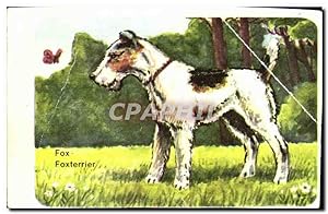 Seller image for Image Fox A Poil Dur Chien Courant Anglais for sale by CPAPHIL