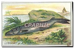 Seller image for Image Le Brochet Poisson Fish for sale by CPAPHIL