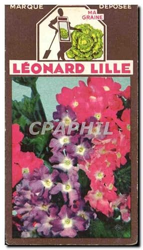 Bild des Verkufers fr Image Fleurs Leonard Lille Verveine zum Verkauf von CPAPHIL