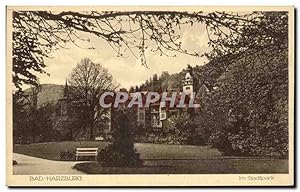 Carte Postale Ancienne Bad Harzburg Im Stadipark