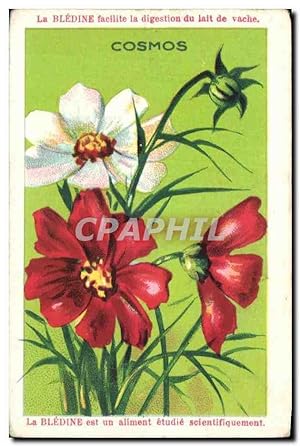 Seller image for Image La Bledine Cosmos Fleurs for sale by CPAPHIL