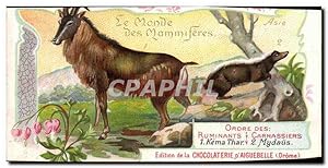 Image du vendeur pour Chromo Le Monde Des Mammiferes Chocolaterie d'aiguebelle Drome Kema Thar Mydaus Chevre mis en vente par CPAPHIL