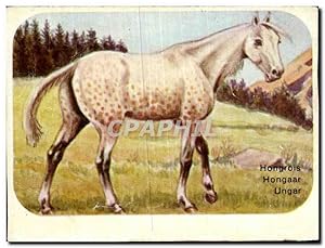 Seller image for Image Hongrois Cheval for sale by CPAPHIL