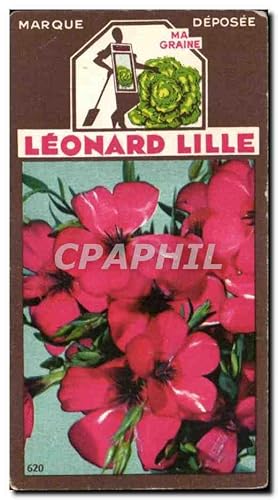 Bild des Verkufers fr Image Fleurs Leonard Lille Lin zum Verkauf von CPAPHIL