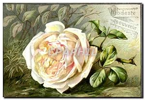 Bild des Verkufers fr Image Modeste Souvenir fleur rose zum Verkauf von CPAPHIL