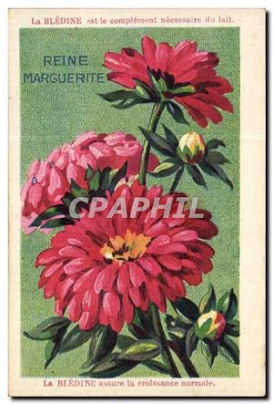 Bild des Verkufers fr Image Bledine Reine Marguerite zum Verkauf von CPAPHIL