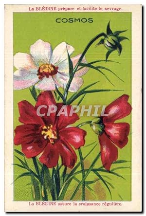 Seller image for Image La Bledine Cosmos for sale by CPAPHIL