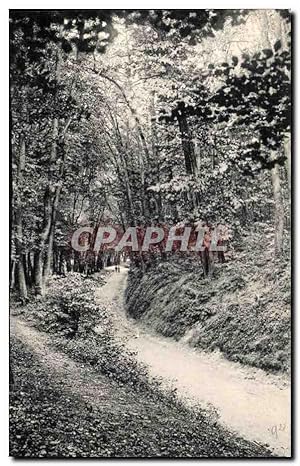 Image du vendeur pour Carte Postale Ancienne Parc Saint Cloud Alle De Marnes Route De La porte Blanche a la pelouse de Combleval De Marnes a Garches mis en vente par CPAPHIL