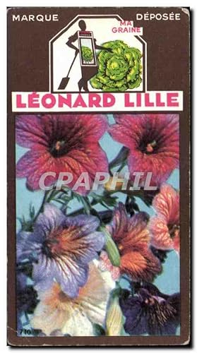 Bild des Verkufers fr Image Fleurs Leonard Lille Salpigossis zum Verkauf von CPAPHIL