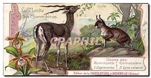 Image du vendeur pour Chromo Le Monde Des Mammiferes Capricorne Lynx caracal mis en vente par CPAPHIL