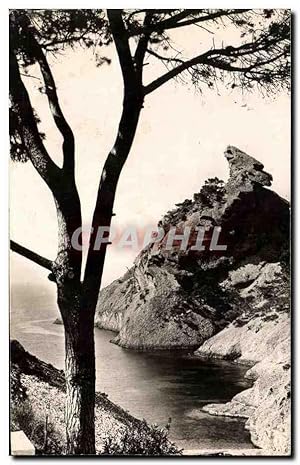 Carte Postale Ancienne La Ciotat Calanque de Figuerolles