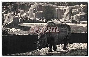 Image du vendeur pour Carte Postale Ancienne Museum National D'Histoire Naturelle Parc Zoologique Paris Rhinoceros d'Afrique Zoo mis en vente par CPAPHIL