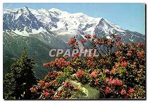 Image du vendeur pour Carte Postale Semi Moderne Au Pays Du Mont Blanc Massif Aiguille du Midi et Mont Blanc Fieurs de Rhododendrons mis en vente par CPAPHIL