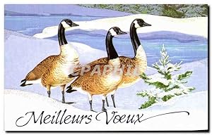 Image du vendeur pour Carte Postale Moderne Meilleurs Voeux Canards Oies sauvages oiseaux mis en vente par CPAPHIL