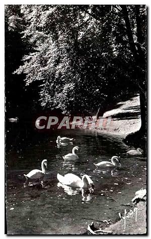 Carte Postale Ancienne Luchon La Lac Quinconces et les Cygnes