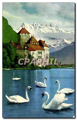 Imagen del vendedor de Carte Postale Semi Moderne Lac Leman Chteau de Chillon et dents du midi Cygnes a la venta por CPAPHIL