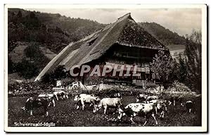 Bild des Verkufers fr Carte Postale Ancienne Schwarzwald idylle Vaches zum Verkauf von CPAPHIL