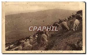 Bild des Verkufers fr Carte Postale Ancienne Jura Touriste Troupeau de Moutons dans la Montagne zum Verkauf von CPAPHIL