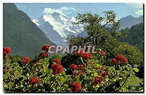Bild des Verkufers fr Carte Postale Semi Moderne Interlaken Jungfrau zum Verkauf von CPAPHIL
