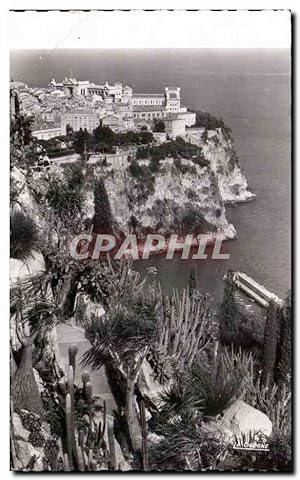 Carte Postale Ancienne Principauté De Monaco Le Rocher Vu du Jardin Exotique