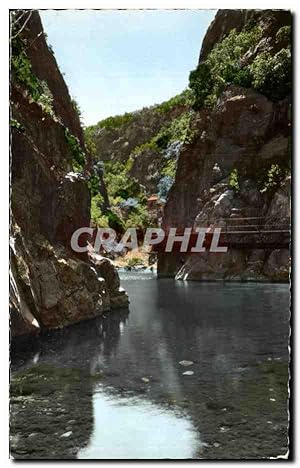 Carte Postale Semi Moderne Amelie Les Bains Les Gorges Du Mandony