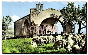 Carte Postale Semi Moderne La Provence Une Vielle Chapelle Moutons