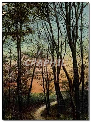Bild des Verkufers fr Carte Postale Ancienne Fantaisie Sous Bois arbres zum Verkauf von CPAPHIL