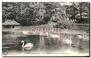 Image du vendeur pour Carte Postale Ancienne Tours Les cygnes Du Jardin Botanique mis en vente par CPAPHIL