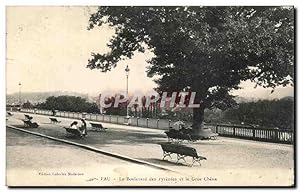 Carte Postale Ancienne Pau Le Boulevard des Pyrenees et le Gros Chene