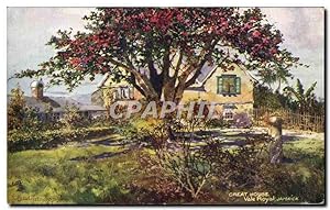 Carte Postale Ancienne Great House Vale Royal Jamaica