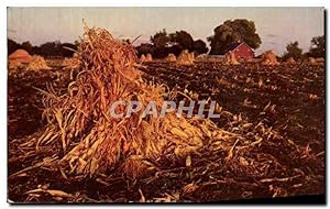 Immagine del venditore per Carte Postale Ancienne Golden Harvest venduto da CPAPHIL