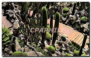 Image du vendeur pour Carte Postale Ancienne La Cote D'Azur Monte Carlo Le Jardin Exotique Cactus mis en vente par CPAPHIL