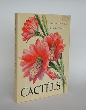 Cactées