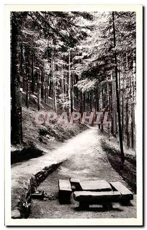 Seller image for Carte Postale Ancienne St Die Les Molieres La Fontaine Fachot for sale by CPAPHIL