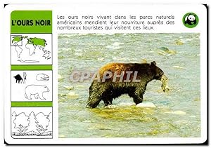 Seller image for Carte L'Ours Noir WWF for sale by CPAPHIL