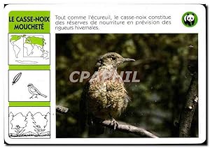 Image du vendeur pour Carte Le Casse Noix Mouchete Oiseau WWF mis en vente par CPAPHIL