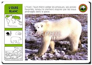 Image du vendeur pour Carte L'Ours Blanc WWF mis en vente par CPAPHIL