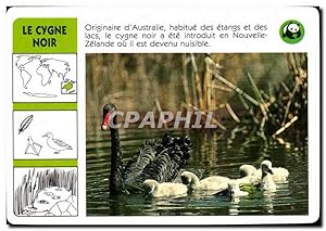 Immagine del venditore per Carte Le Cygne Noir Originaire d'Australie Oiseau WWF venduto da CPAPHIL